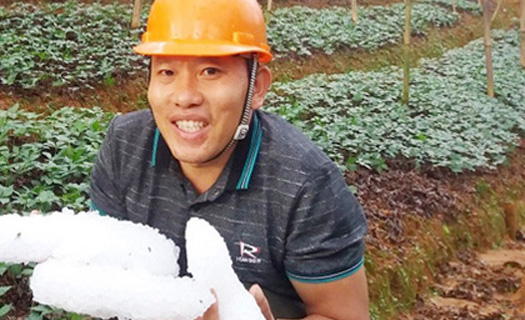 Lào Cai: Mưa đá bất thường giữa mùa hè